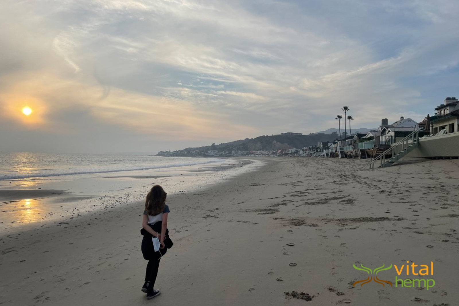 Hempin’ November 2021: Giving Thanks for What’s Vital - Vital Hemp, Inc.