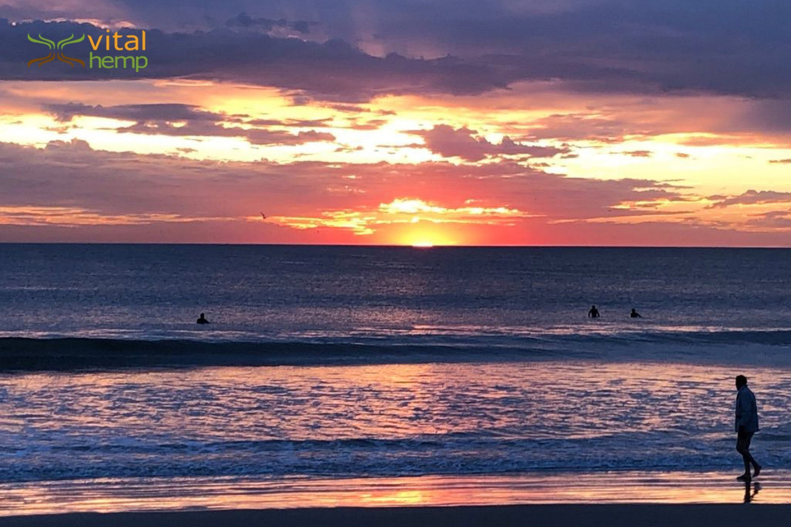 Sharing our Gifts for the Greater Good - Vital Hemp, Inc.